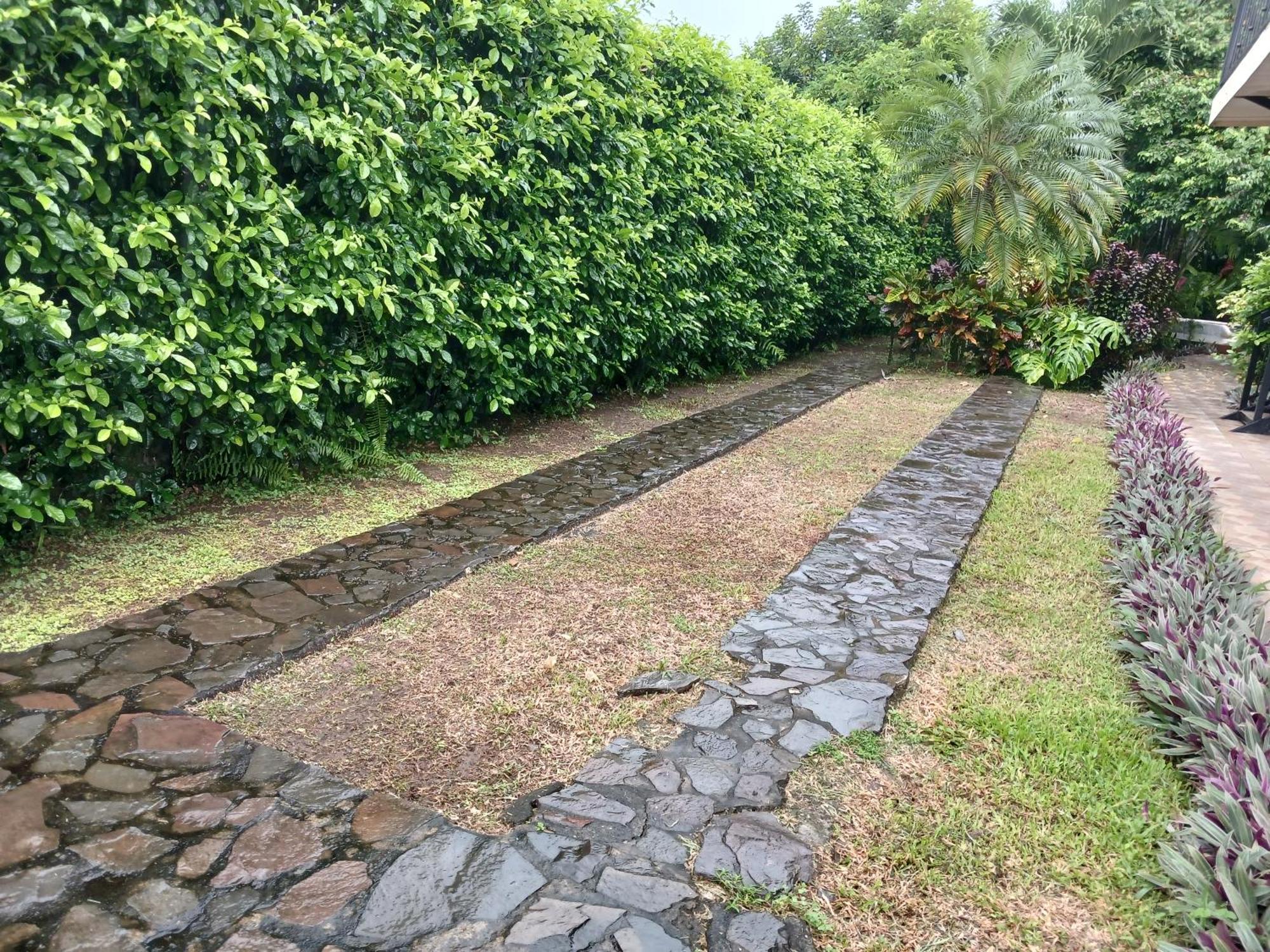 San Gabriel Apartments La Fortuna Zewnętrze zdjęcie
